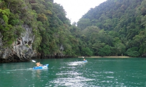 Secret Bay to Big Tree