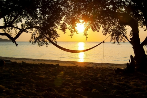 Beach Hammock