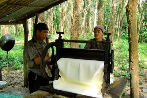 Koh Yao Noi - Rubber Plantation